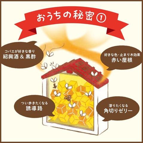 dショッピング