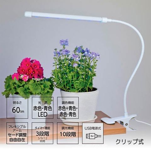 dショッピング