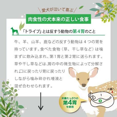dショッピング