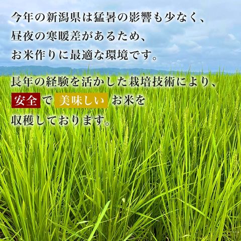 dショッピング
