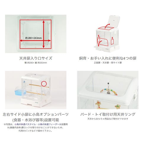 dショッピング