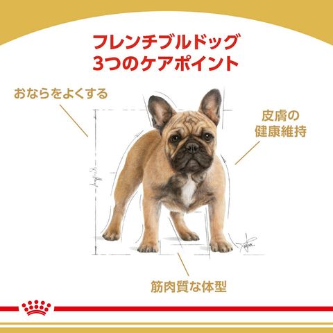 dショッピング