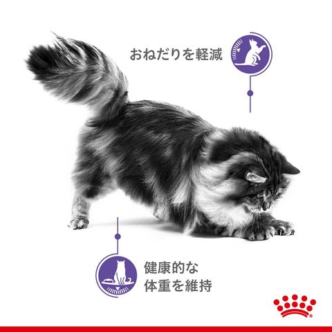dショッピング