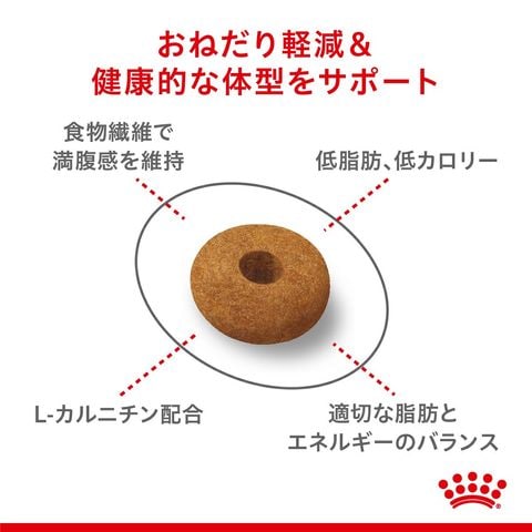 dショッピング