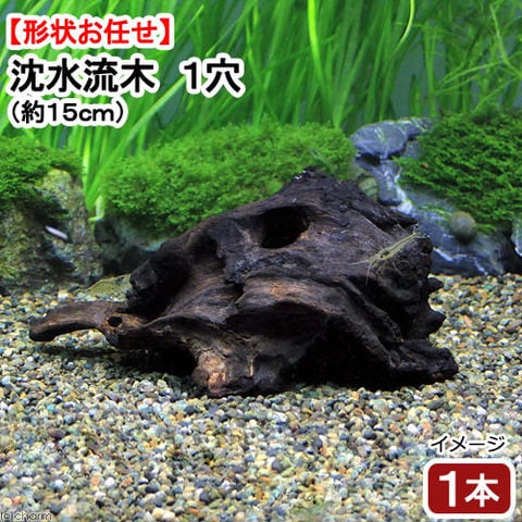 dショッピング