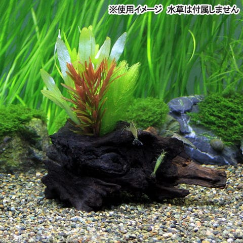 dショッピング