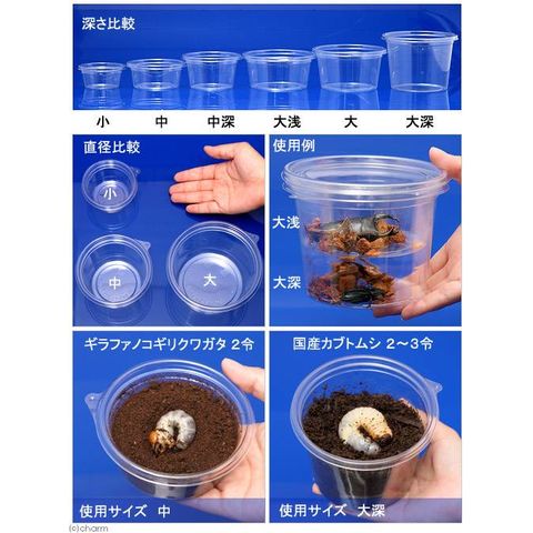 dショッピング