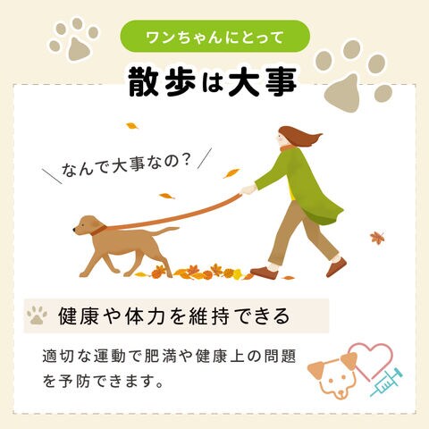dショッピング