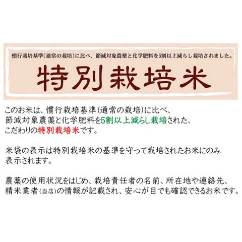 dショッピング