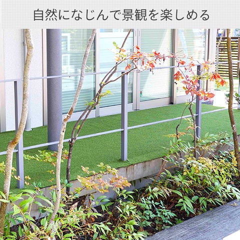 dショッピング