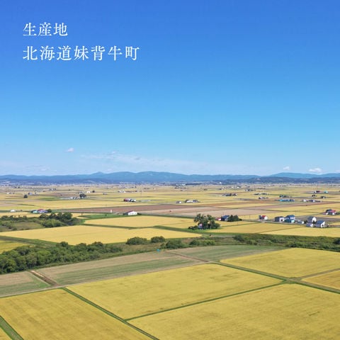 dショッピング