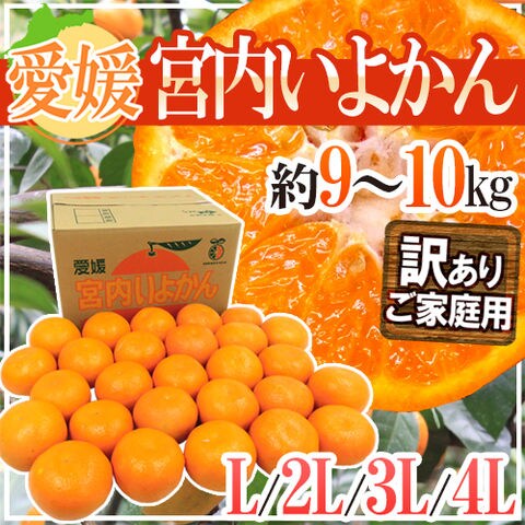 dショッピング