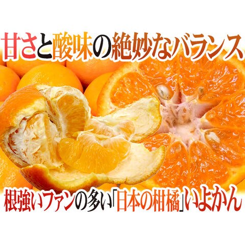 dショッピング