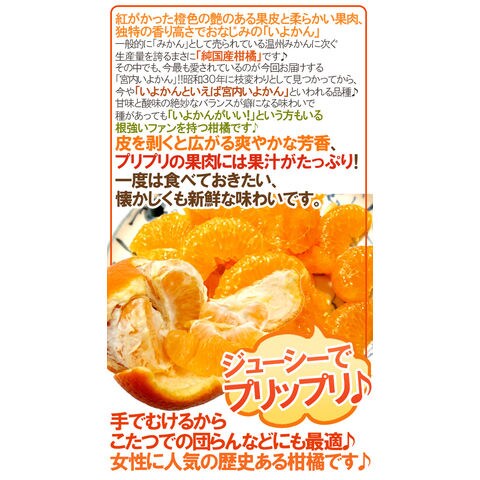 dショッピング