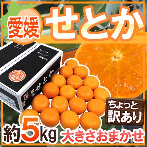 dショッピング
