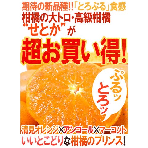dショッピング