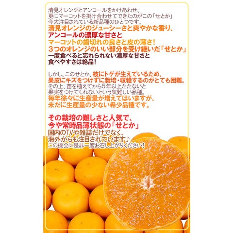 dショッピング