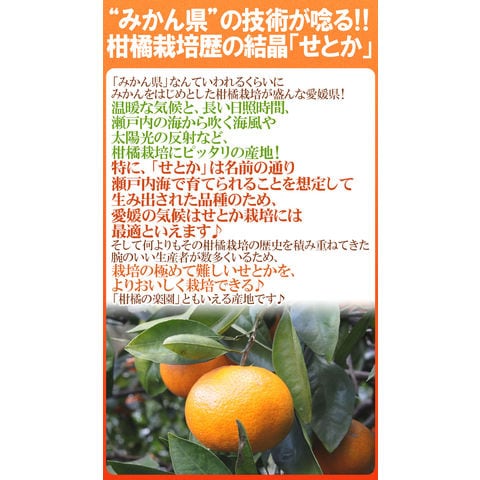 dショッピング