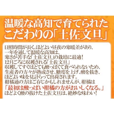 dショッピング