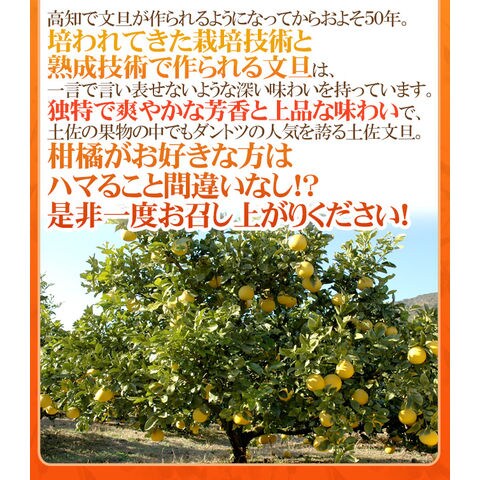 dショッピング