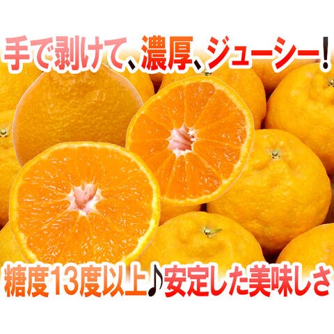 dショッピング