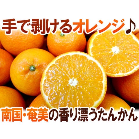 dショッピング