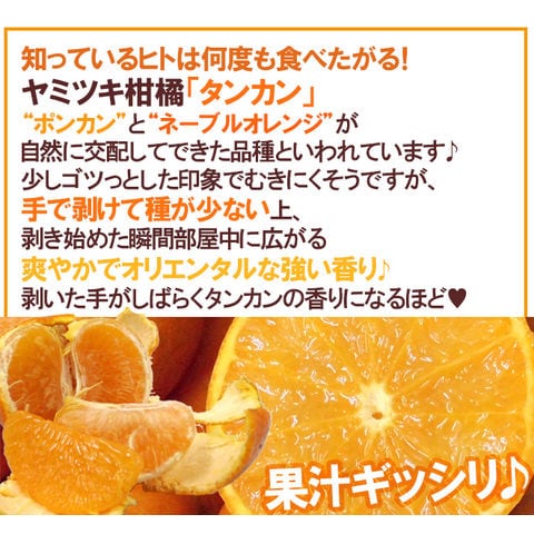 dショッピング