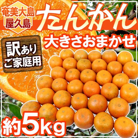 dショッピング