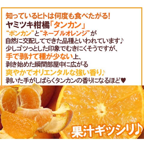 dショッピング