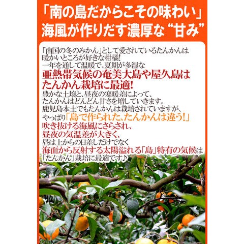dショッピング