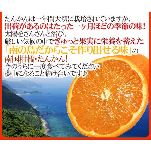 dショッピング