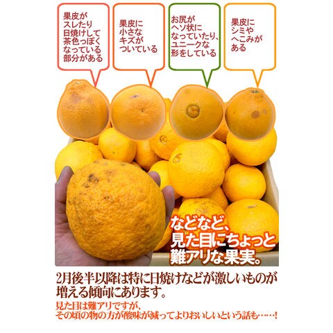 dショッピング