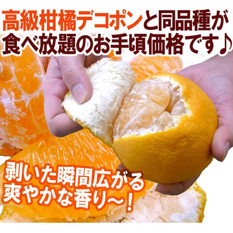 dショッピング