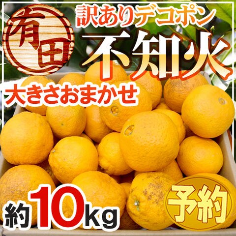 dショッピング