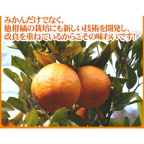 dショッピング