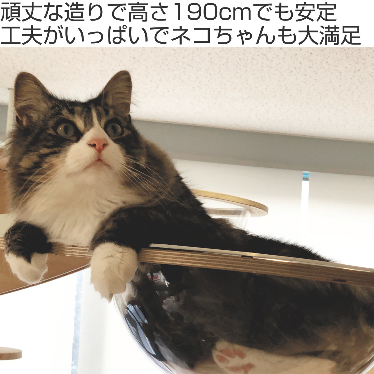 dショッピング