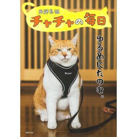 dショッピング