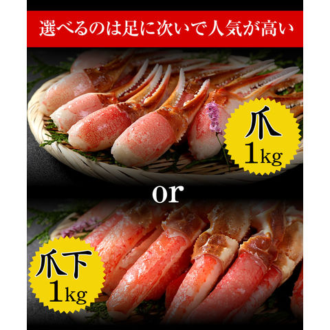 dショッピング