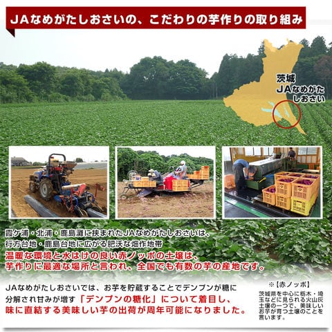 dショッピング