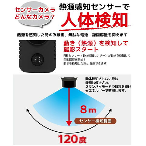 dショッピング
