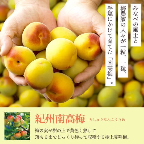 dショッピング