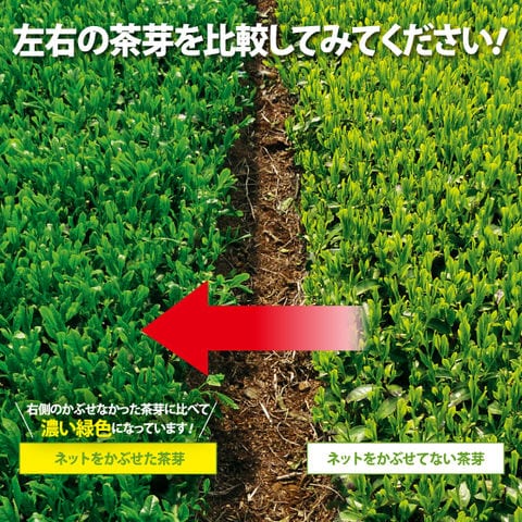 dショッピング