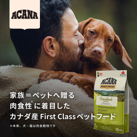 dショッピング