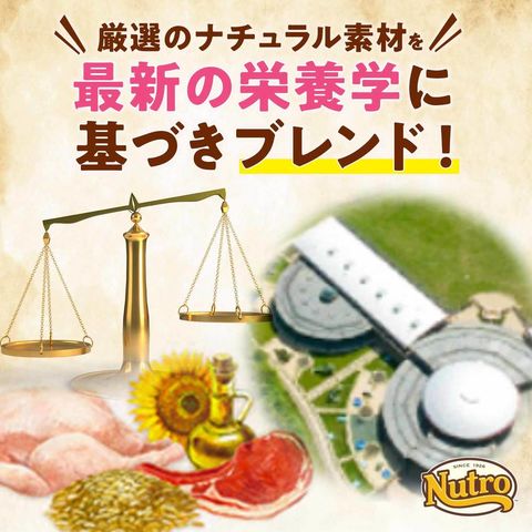 dショッピング