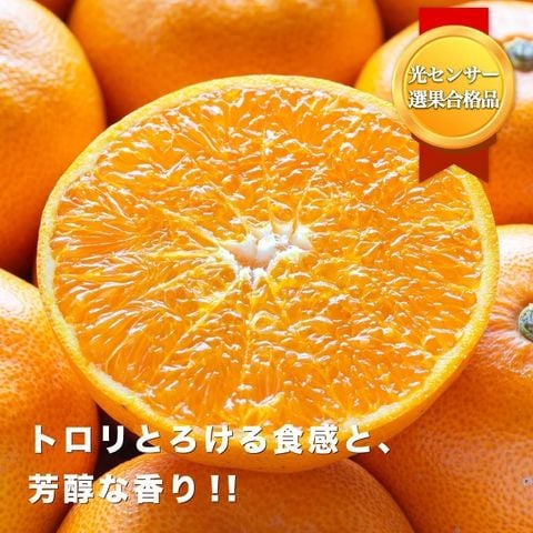 dショッピング