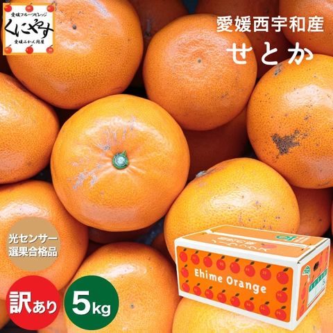 dショッピング