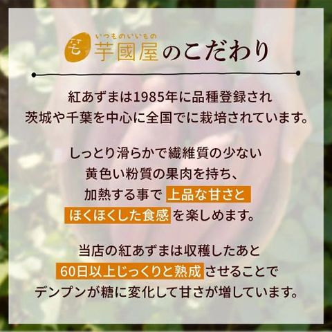 dショッピング