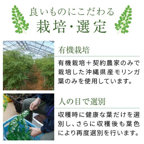 dショッピング