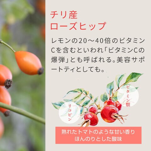 dショッピング