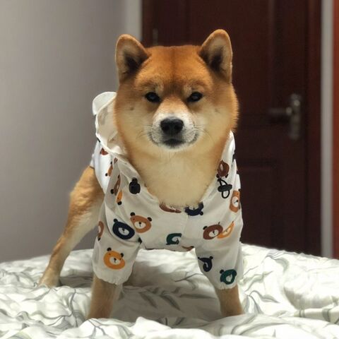 dショッピング